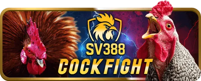 Tiền thưởng VIP cao cấp tại 9bet casino