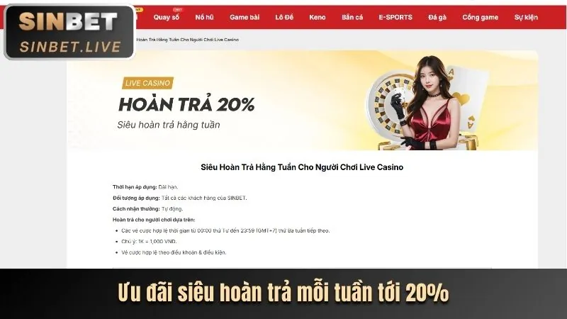 Đặc quyền VIP 9bet